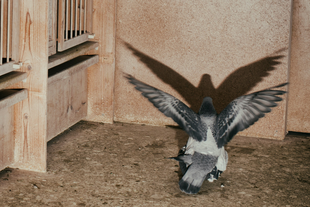 britta-studium-fotografie-ausbildung-fotograf-19