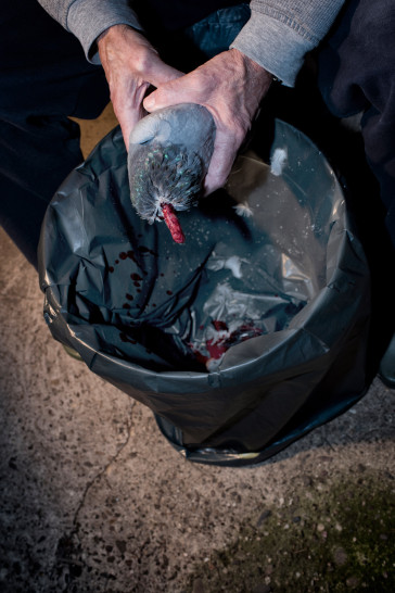 britta-studium-fotografie-ausbildung-fotograf-35