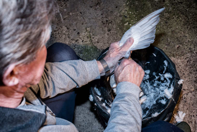 britta-studium-fotografie-ausbildung-fotograf-36