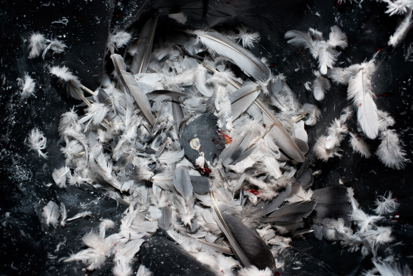 britta-studium-fotografie-ausbildung-fotograf-37