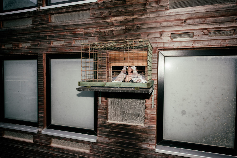 britta-studium-fotografie-ausbildung-fotograf-6