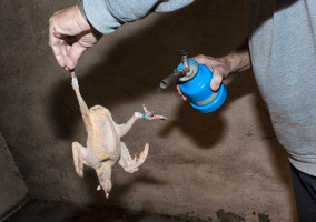 britta-studium-fotografie-banner58