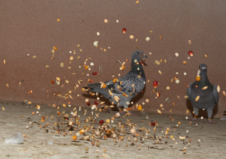 britta-studium-fotografie-ausbildung-fotograf-12