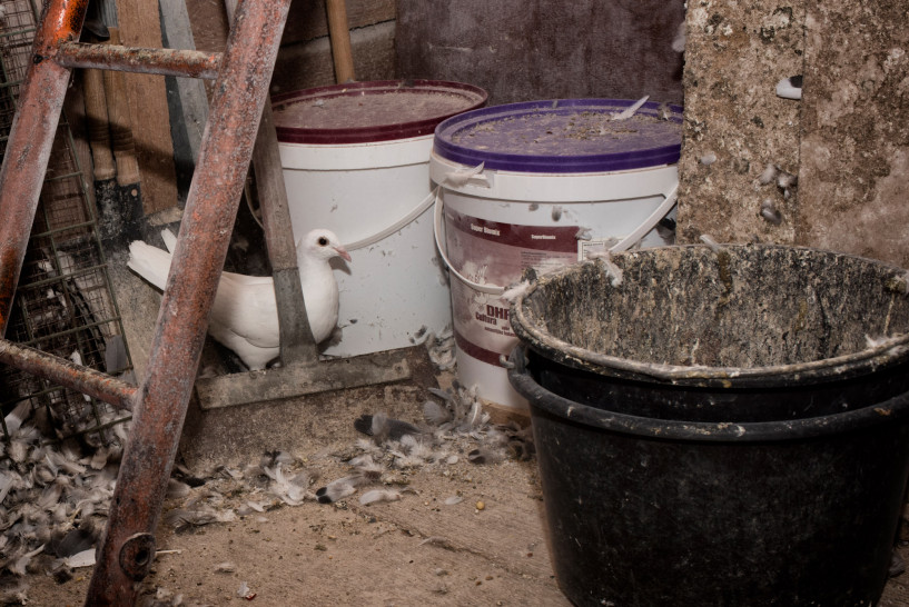 britta-studium-fotografie-ausbildung-fotograf-11