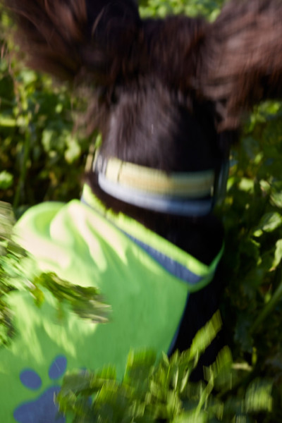 marlitt-schulz-ausbildung-fotograf-absolventin-studium-018