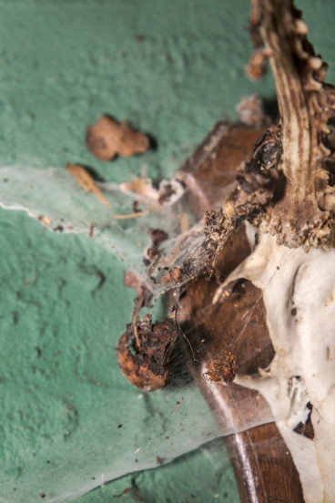 marlitt-schulz-ausbildung-fotograf-absolventin-studium-031