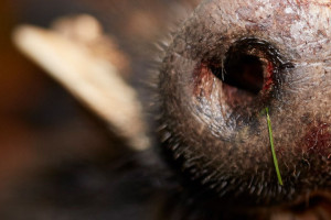 banner-marlitt-schulz-ausbildung-fotograf-absolventin-studium-001