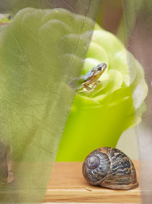 haberkorn-erfahrungen-mit-der-ausbildung-zum-fotograf-und-studium-fotografie-05