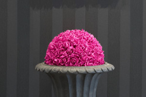 banner-melani-haberkorn-erfahrungen-mit-der-ausbildung-zum-fotograf-und-studium-fotografie-04