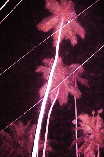 rebecca-absolvent-studium-fotografie-ausbildung-fotograf-07