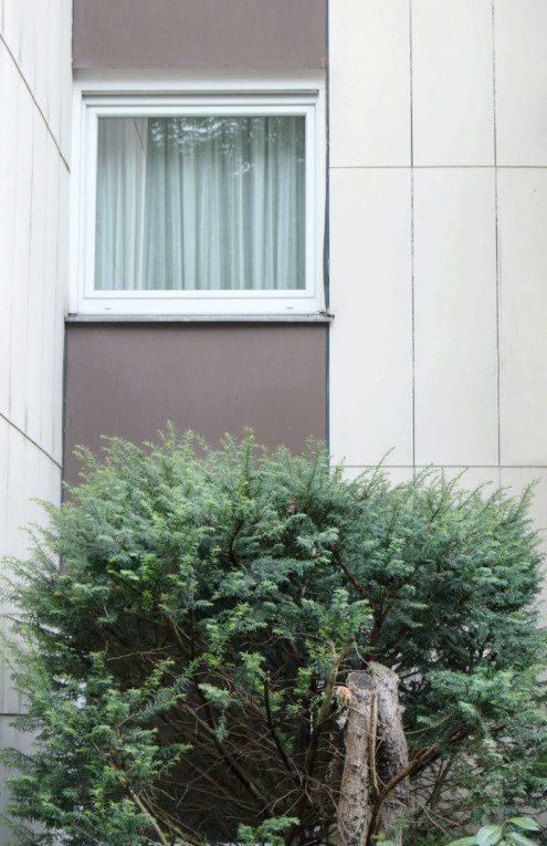 rebecca-absolvent-studium-fotografie-ausbildung-fotograf-24