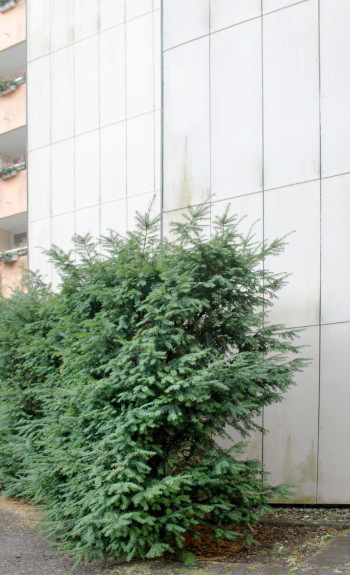 rebecca-absolvent-studium-fotografie-ausbildung-fotograf-26