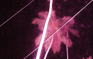 banner-rebecca-absolvent-studium-fotografie06