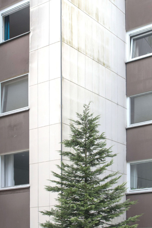 rebecca-absolvent-studium-fotografie-ausbildung-fotograf-22