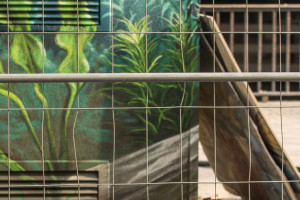 anja-grauenhorst-studium-fotograf-nebenberuflich-banner05