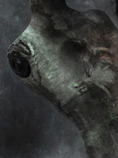 karsten_fotograf_ausbildung_nebenberuflich18