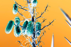 nikola-banner-151