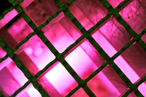 susanne-galler-banner-008