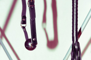 susanne-galler-banner-005-kopie