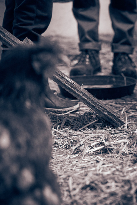 jochen-steinhaus-beck-024