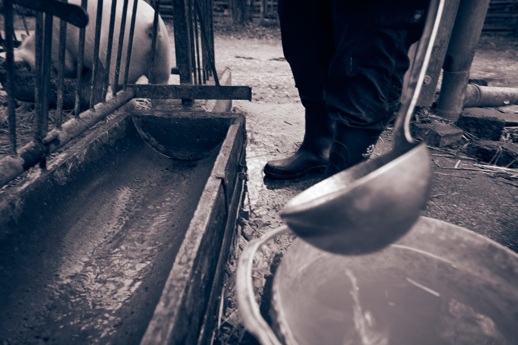 jochen-steinhaus-beck-018