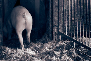 banner-stills-10-neu-2