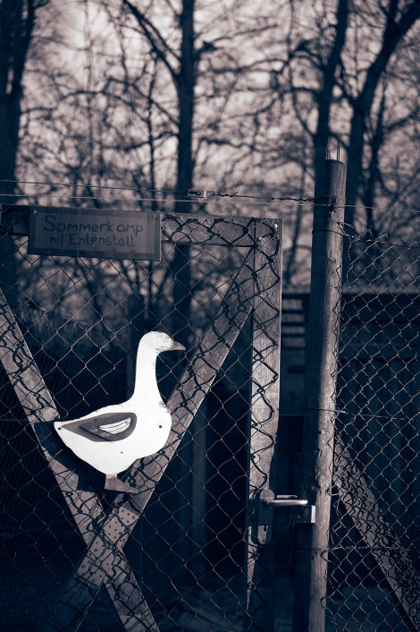 jochen-steinhaus-beck-015