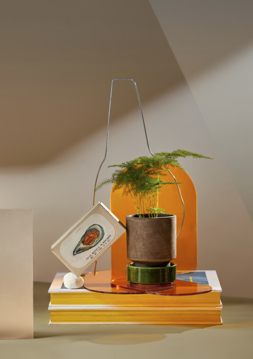 010_diplomserie-1_vogt