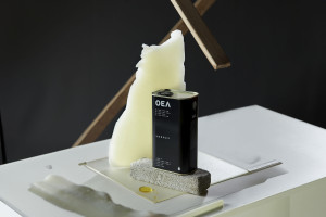 008_diplomserie-1_vogt