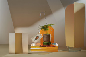 010_diplomserie-1_vogt