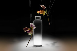 001_diplomserie-1_vogt