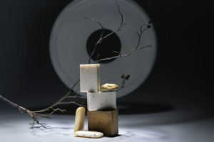 012_diplomserie-1_vogt