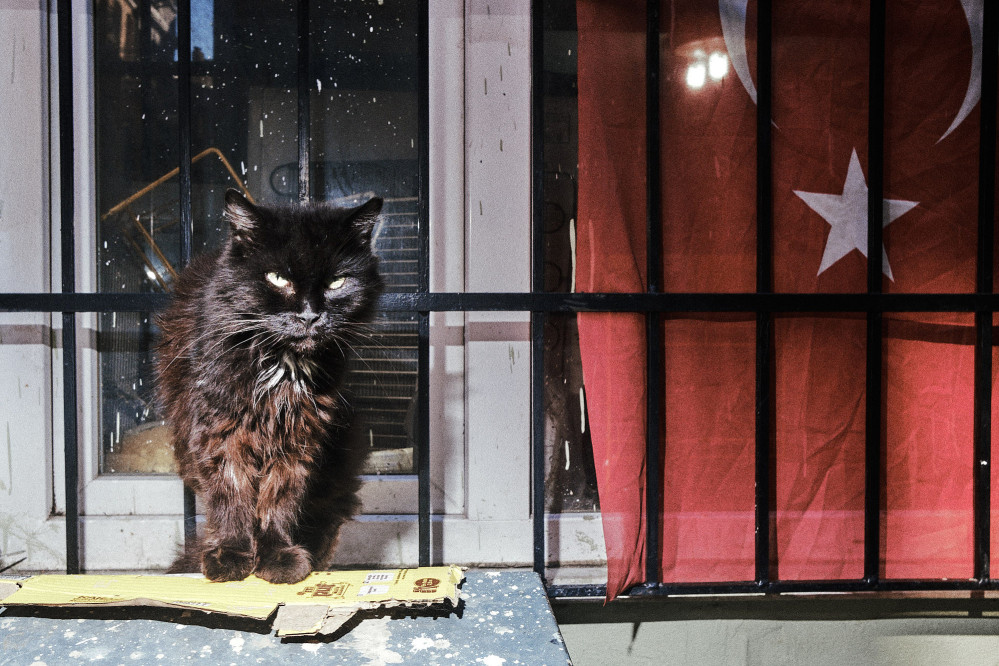 kevin_wolf_portfolio_29