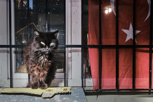 banner-stills-20-kopie