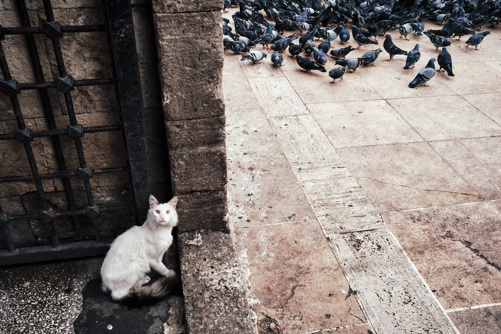 kevin_wolf_portfolio_32