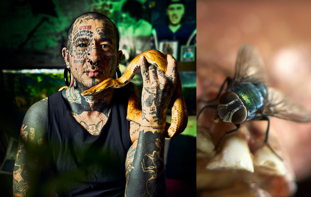 08_diplomserie2_landau