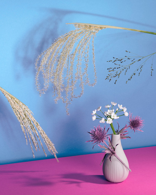 diplomserie-1_steffen_006