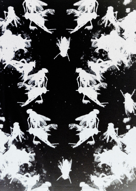 1248_mappe_dallabetta