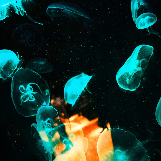 die-absolventin-der-ausbildung-zum-fotografen-carmen-bottcher-beschreibt-ihr-studium-der-fotografie.-81