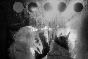 die-absolventin-der-ausbildung-zum-fotografen-carmen-bottcher-beschreibt-ihr-studium-der-fotografie-kopie21