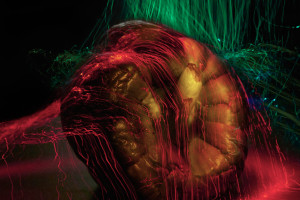 irene-berichtet-uber-in-deutschland-anerkannte-ausbildung-zum-fotografen-26