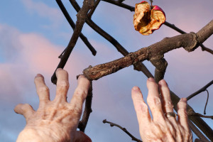 irene-berichtet-uber-in-deutschland-anerkannte-ausbildung-zum-fotografen-29