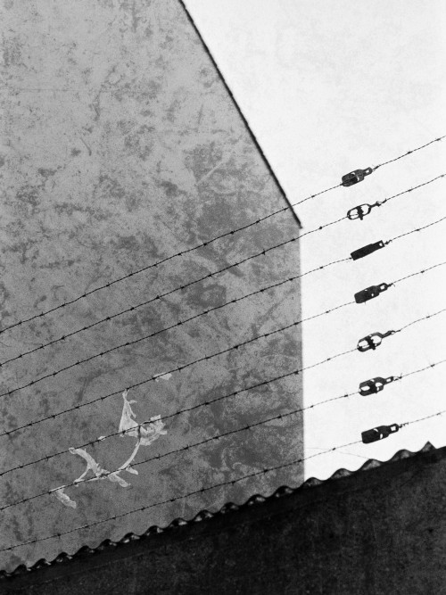 jonas-gladbach-uber-die-erfolgsaussichten-nach-abschluss-seines-fotografiestudiums-07