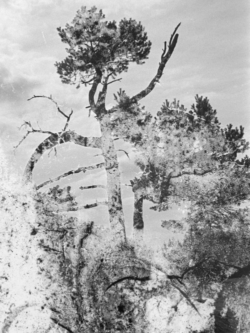 jonas-gladbach-uber-die-erfolgsaussichten-nach-abschluss-seines-fotografiestudiums-03