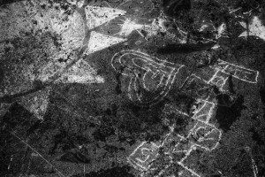 jonas-gladbach-uber-die-erfolgsaussichten-nach-abschluss-seines-fotografiestudiums-1602