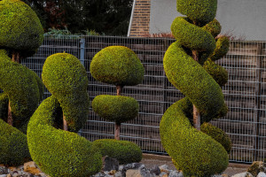 jonas-gladbach-uber-die-erfolgsaussichten-nach-abschluss-seines-fotografiestudiums-2404-kopie-2