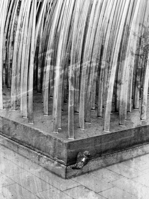 jonas-gladbach-uber-die-erfolgsaussichten-nach-abschluss-seines-fotografiestudiums-14