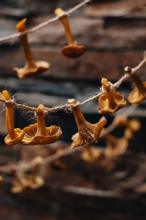 foodfotografie-als-ausbildungsziel-fur-fotografen-46