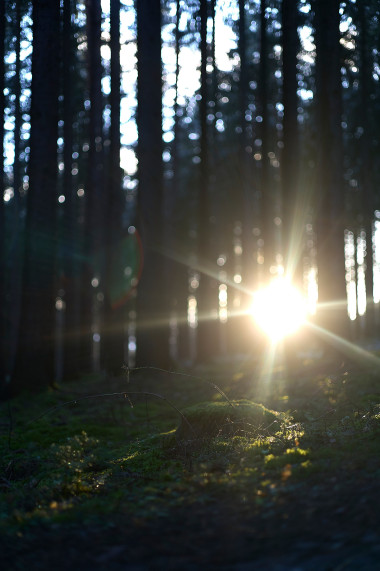 diplomprojekt_landleben_29