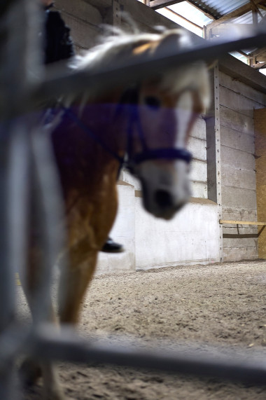 diplomprojekt_landleben_47